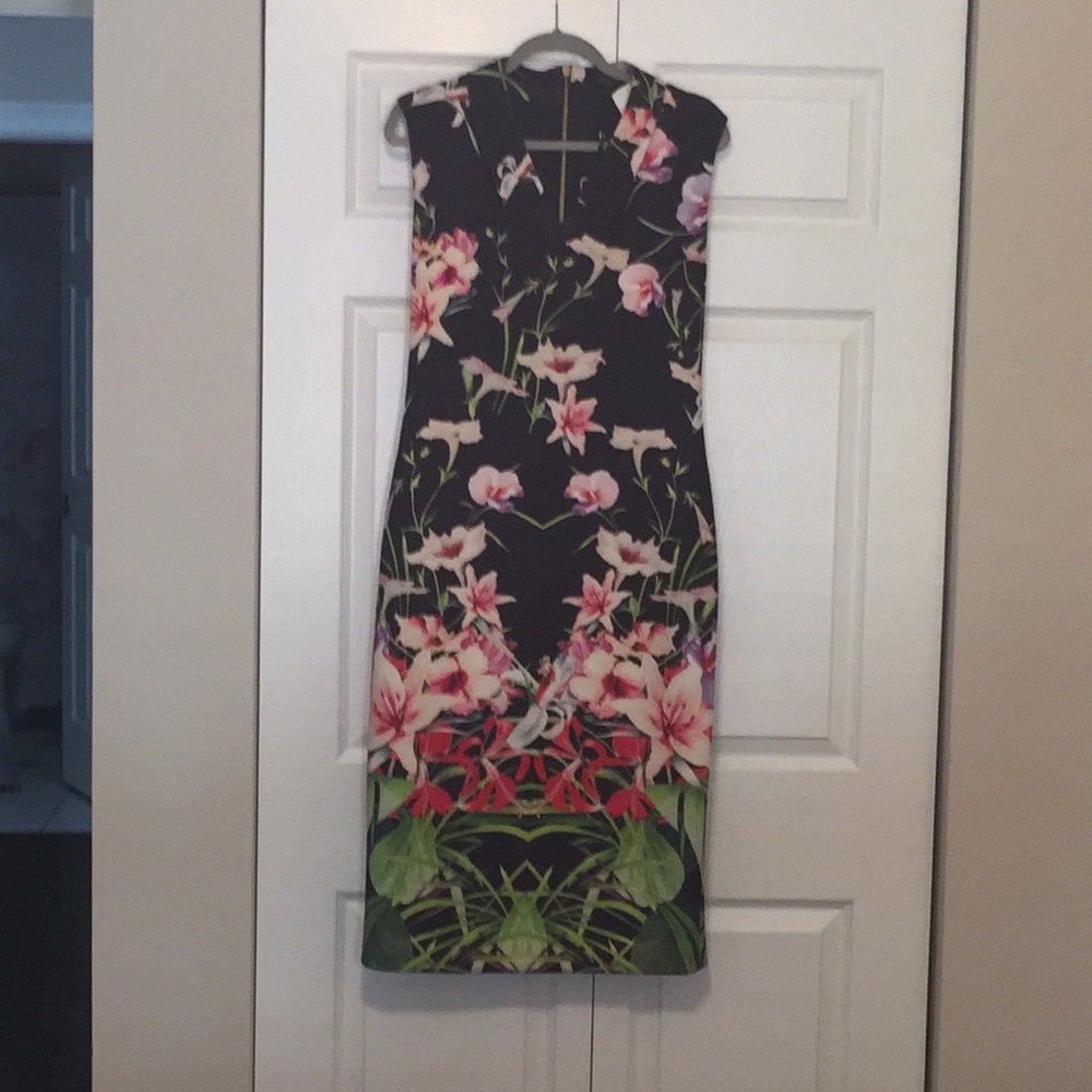 Ted Baker dress